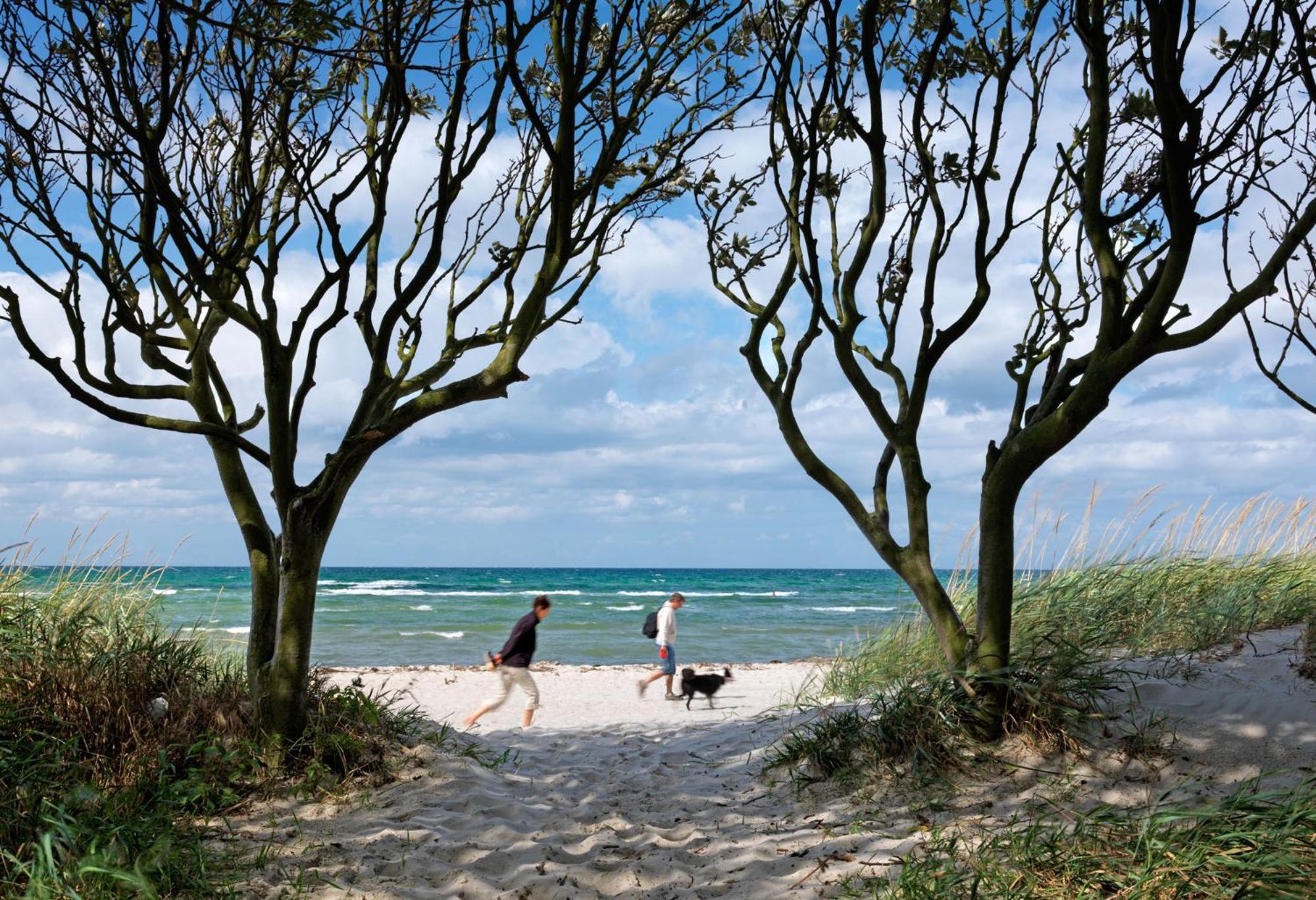 Gollwitzer Park Oase Lägenhet Insel Poel Exteriör bild