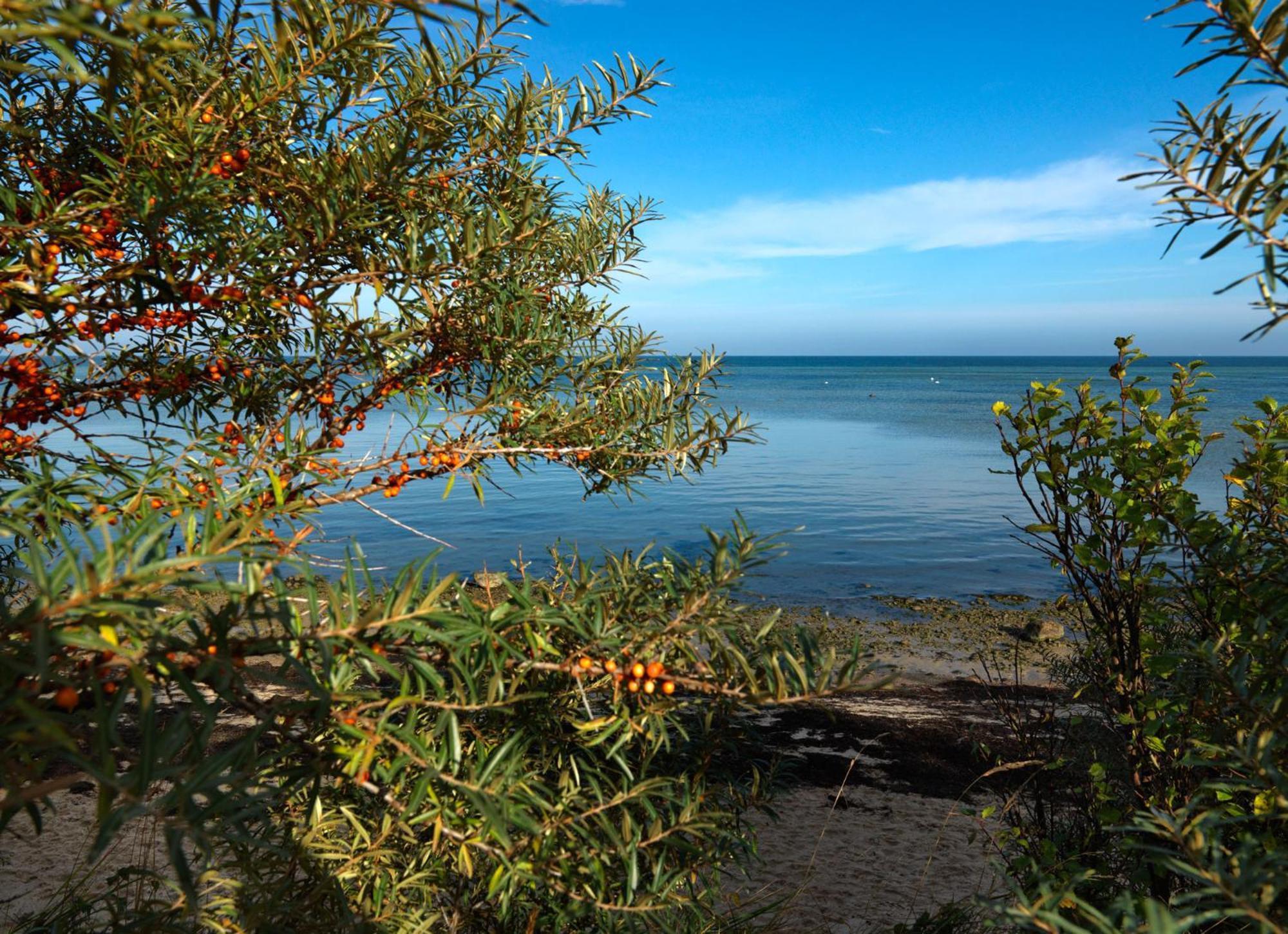 Gollwitzer Park Oase Lägenhet Insel Poel Exteriör bild